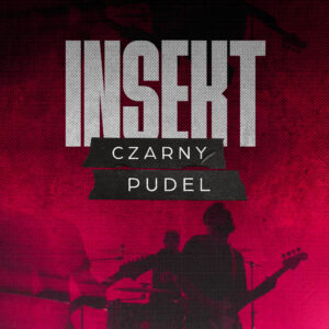 INSEKT - Czarny pudel