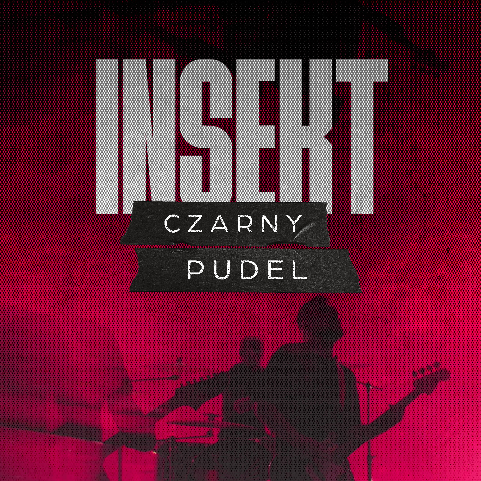 Mocne uderzenie, niewygodne pytania. INSEKT z utworem „Czarny Pudel” [RECENZJA]